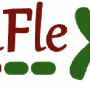 Logo Kinflex